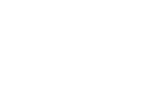 Palan Foundation